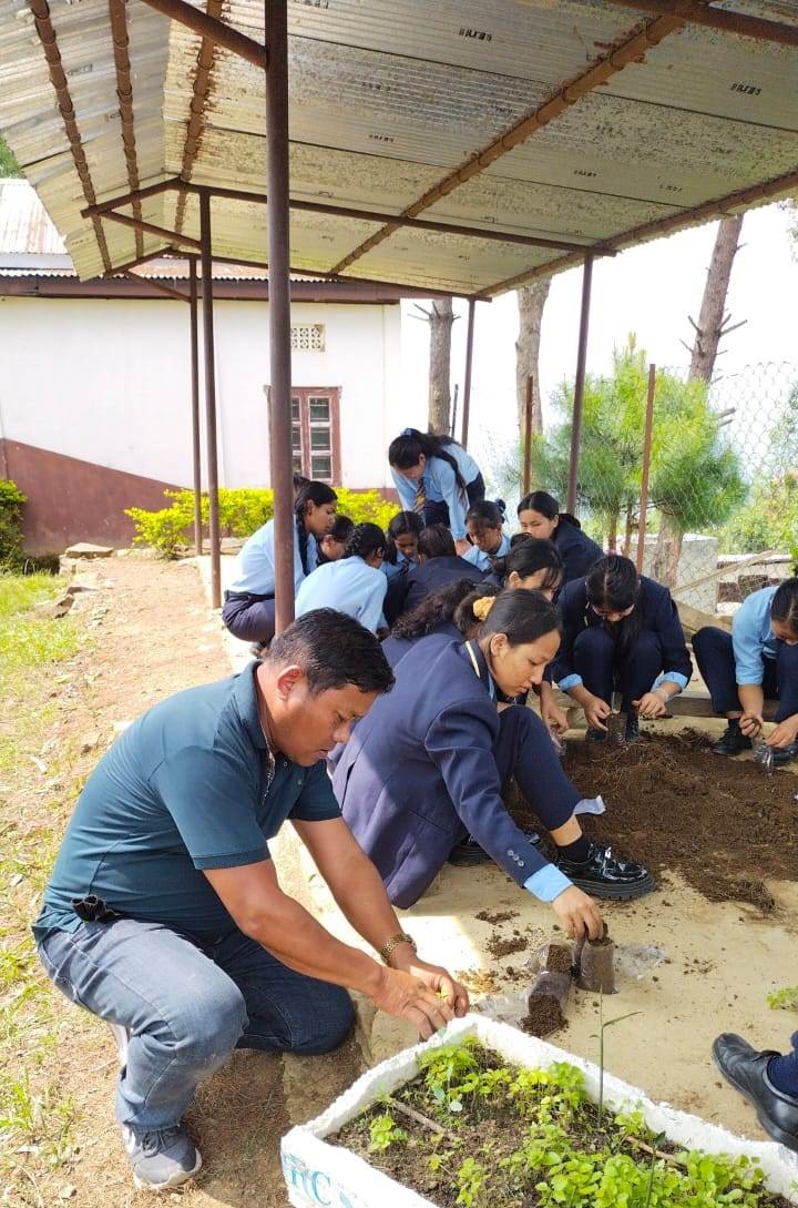 Rokosekho Ronald Meru engaging students in different activities including nursery and carpentry demonstration, instilling dignity of labour in students and mobilising communities during his years of posting at Pungro and now at Sechü-Zubza.